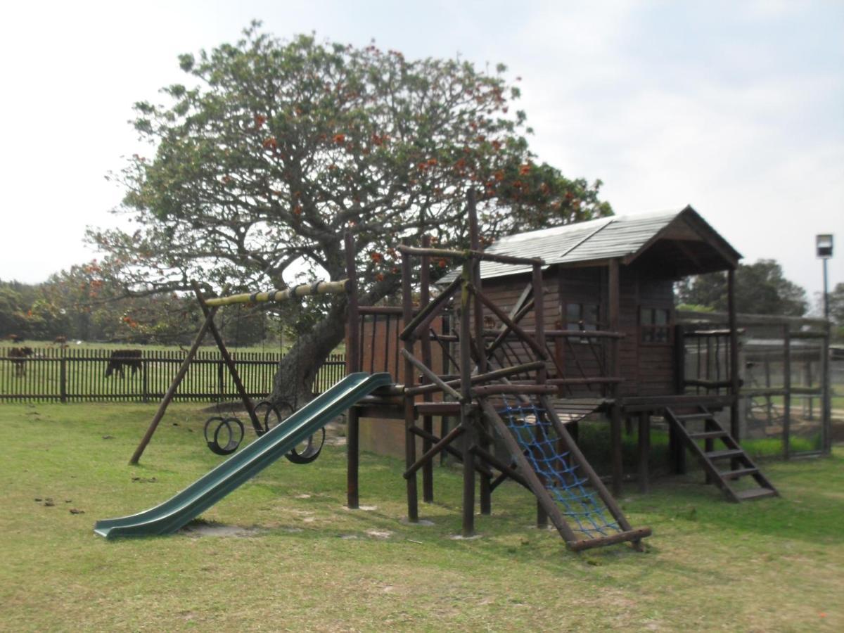 Soloko Game Farm Villa Kareedouw Bagian luar foto