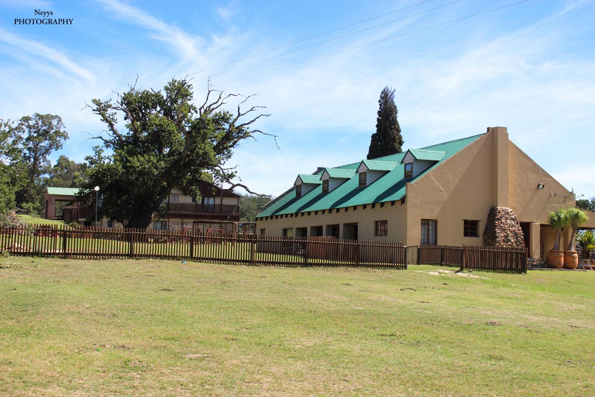 Soloko Game Farm Villa Kareedouw Bagian luar foto
